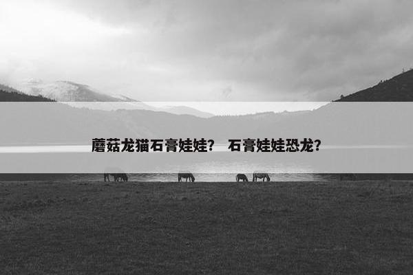 蘑菇龙猫石膏娃娃？ 石膏娃娃恐龙？