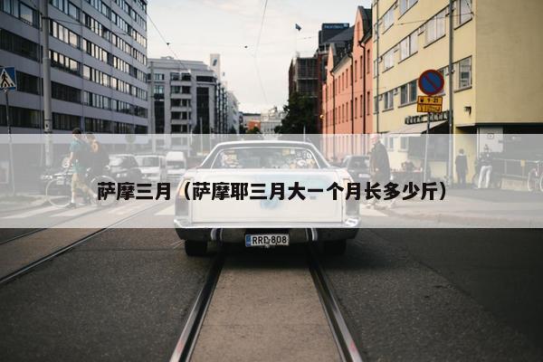 萨摩三月（萨摩耶三月大一个月长多少斤）
