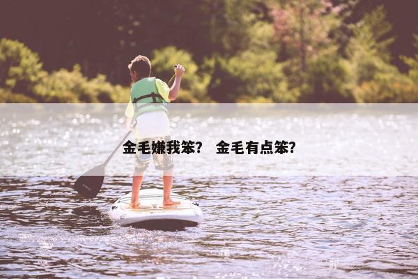 金毛嫌我笨？ 金毛有点笨？