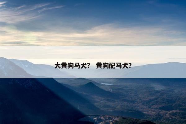 大黄狗马犬？ 黄狗配马犬？