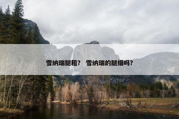 雪纳瑞腿粗？ 雪纳瑞的腿细吗？
