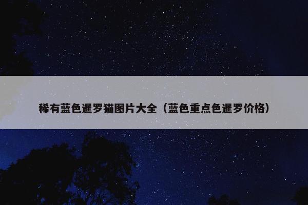 稀有蓝色暹罗猫图片大全（蓝色重点色暹罗价格）