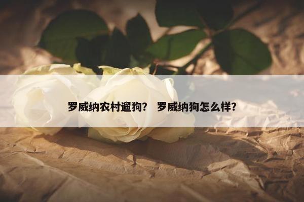 罗威纳农村遛狗？ 罗威纳狗怎么样？