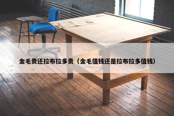 金毛贵还拉布拉多贵（金毛值钱还是拉布拉多值钱）