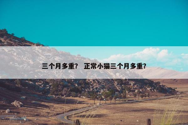 三个月多重？ 正常小猫三个月多重？
