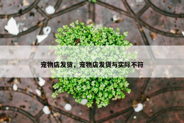 宠物店发货，宠物店发货与实际不符