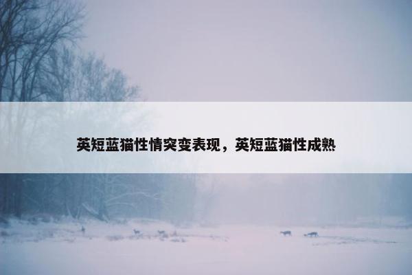 英短蓝猫性情突变表现，英短蓝猫性成熟