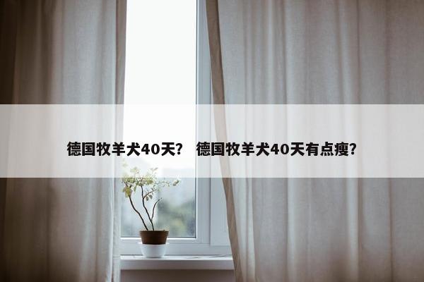 德国牧羊犬40天？ 德国牧羊犬40天有点瘦？