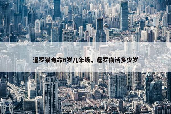暹罗猫寿命6岁几年级，暹罗猫活多少岁