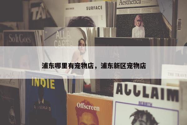 浦东哪里有宠物店，浦东新区宠物店