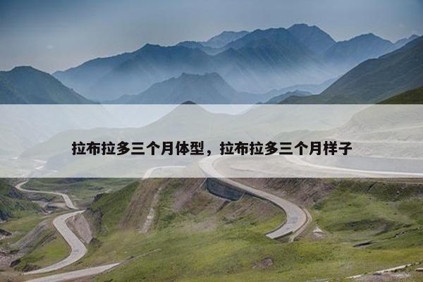 拉布拉多三个月体型，拉布拉多三个月样子