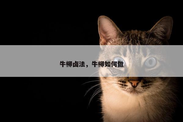 牛柳卤法，牛柳如何做