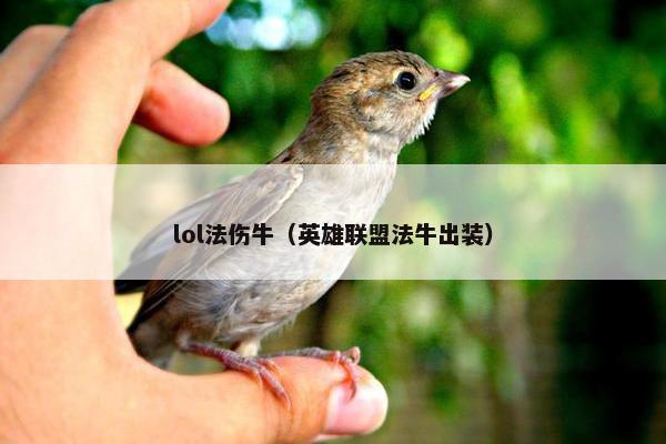 lol法伤牛（英雄联盟法牛出装）