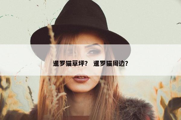 暹罗猫草坪？ 暹罗猫周边？