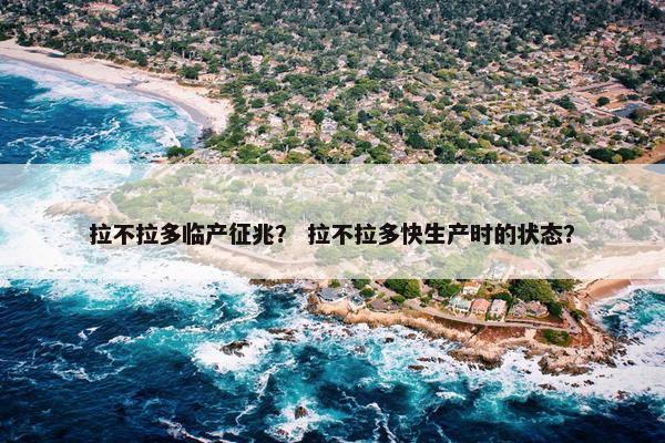 拉不拉多临产征兆？ 拉不拉多快生产时的状态？