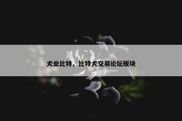 犬业比特，比特犬交易论坛板块