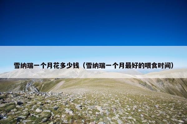 雪纳瑞一个月花多少钱（雪纳瑞一个月最好的喂食时间）