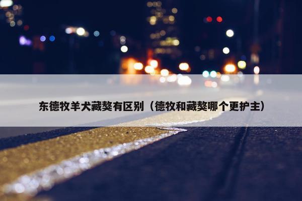东德牧羊犬藏獒有区别（德牧和藏獒哪个更护主）