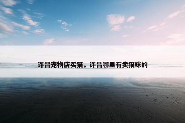 许昌宠物店买猫，许昌哪里有卖猫咪的