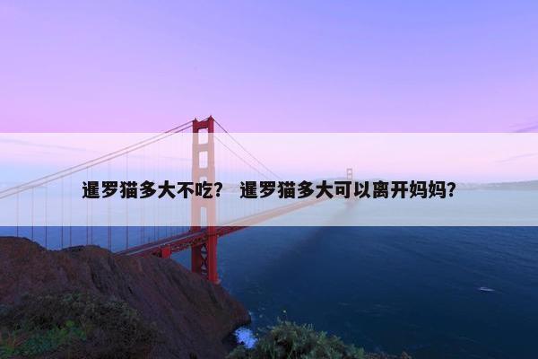 暹罗猫多大不吃？ 暹罗猫多大可以离开妈妈？