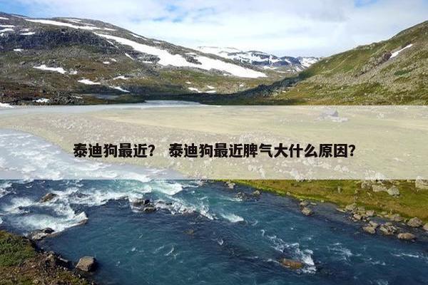 泰迪狗最近？ 泰迪狗最近脾气大什么原因？