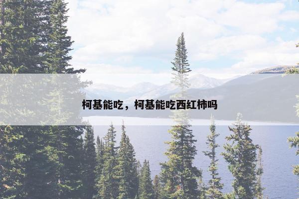 柯基能吃，柯基能吃西红柿吗
