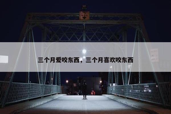 三个月爱咬东西，三个月喜欢咬东西