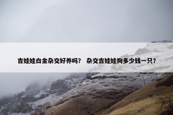 吉娃娃白金杂交好养吗？ 杂交吉娃娃狗多少钱一只？