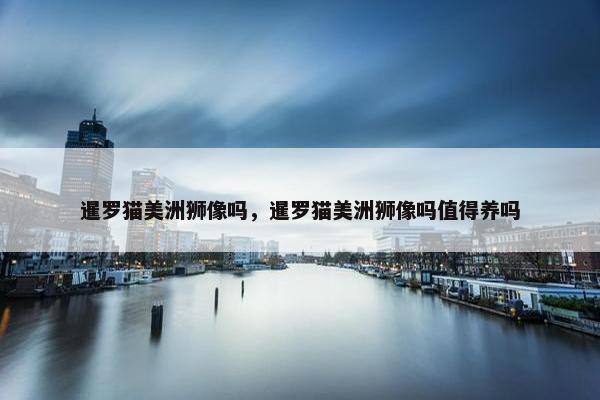 暹罗猫美洲狮像吗，暹罗猫美洲狮像吗值得养吗