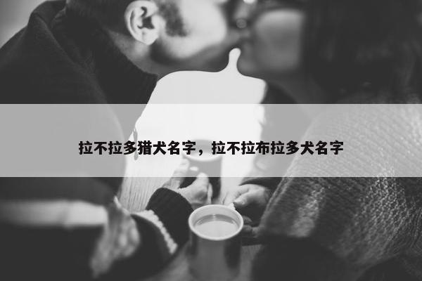 拉不拉多猎犬名字，拉不拉布拉多犬名字