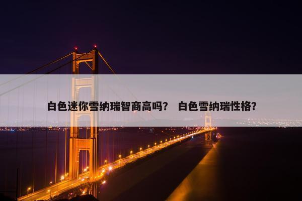 白色迷你雪纳瑞智商高吗？ 白色雪纳瑞性格？