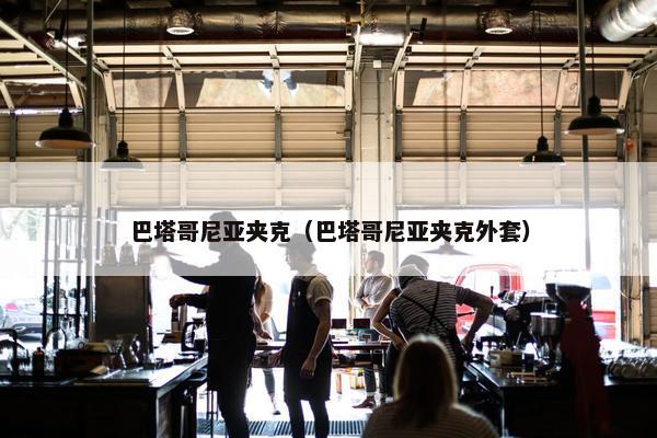 巴塔哥尼亚夹克（巴塔哥尼亚夹克外套）