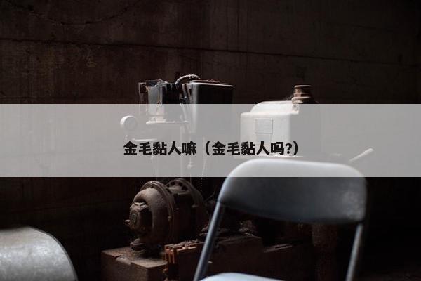 金毛黏人嘛（金毛黏人吗?）