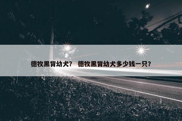 德牧黑背幼犬？ 德牧黑背幼犬多少钱一只？