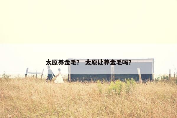 太原养金毛？ 太原让养金毛吗？