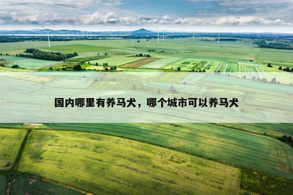 国内哪里有养马犬，哪个城市可以养马犬