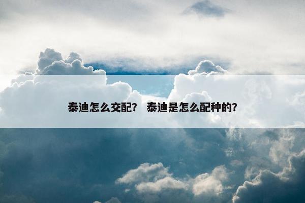 泰迪怎么交配？ 泰迪是怎么配种的？