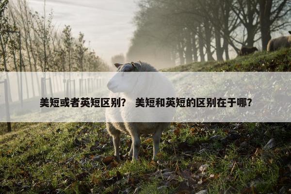 美短或者英短区别？ 美短和英短的区别在于哪？