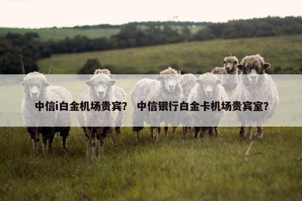 中信i白金机场贵宾？ 中信银行白金卡机场贵宾室？