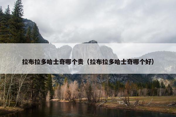 拉布拉多哈士奇哪个贵（拉布拉多哈士奇哪个好）