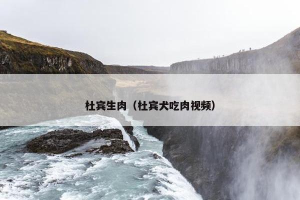杜宾生肉（杜宾犬吃肉视频）