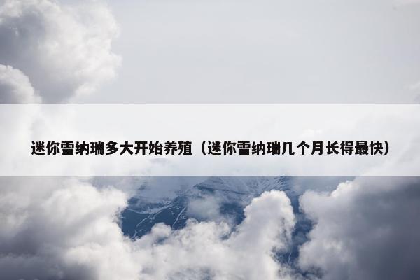 迷你雪纳瑞多大开始养殖（迷你雪纳瑞几个月长得最快）