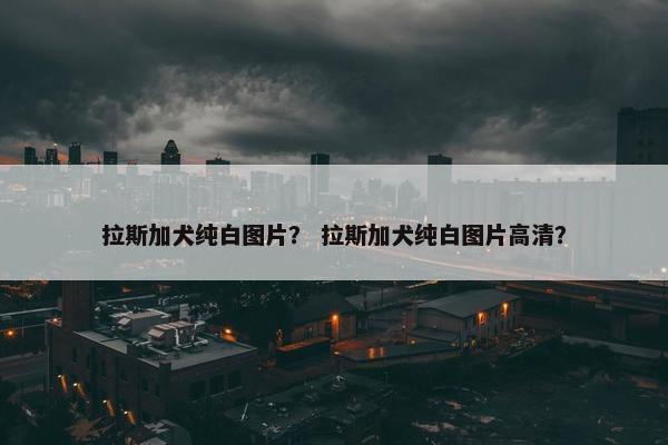 拉斯加犬纯白图片？ 拉斯加犬纯白图片高清？