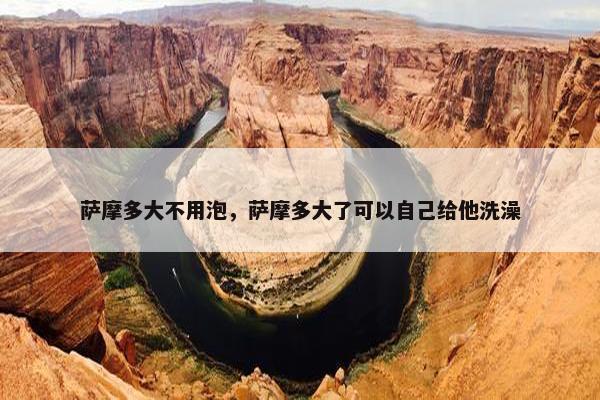 萨摩多大不用泡，萨摩多大了可以自己给他洗澡