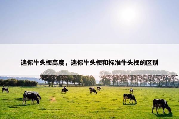 迷你牛头梗高度，迷你牛头梗和标准牛头梗的区别