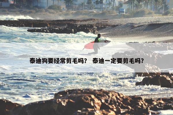 泰迪狗要经常剪毛吗？ 泰迪一定要剪毛吗？
