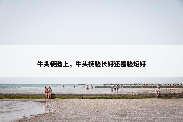 牛头梗脸上，牛头梗脸长好还是脸短好