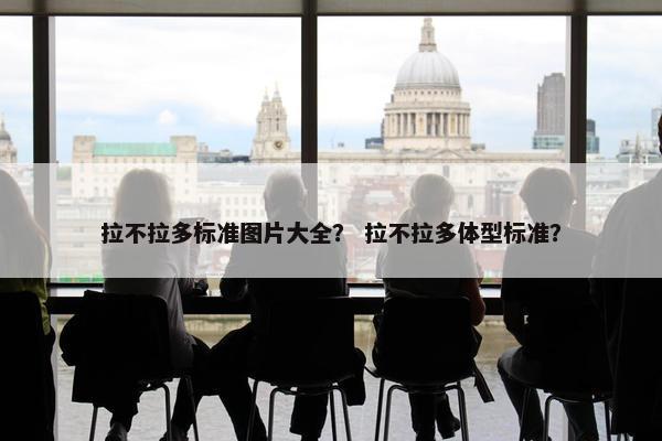 拉不拉多标准图片大全？ 拉不拉多体型标准？