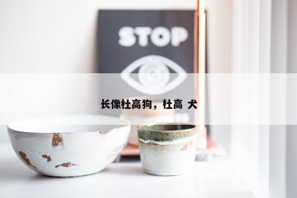 长像杜高狗，杜高 犬