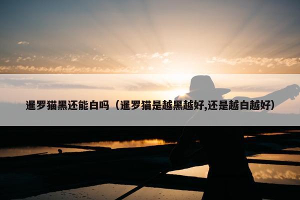 暹罗猫黑还能白吗（暹罗猫是越黑越好,还是越白越好）